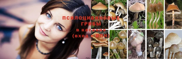 гашишное масло Мегион