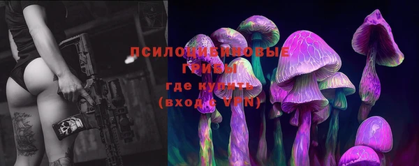 MDMA Медногорск